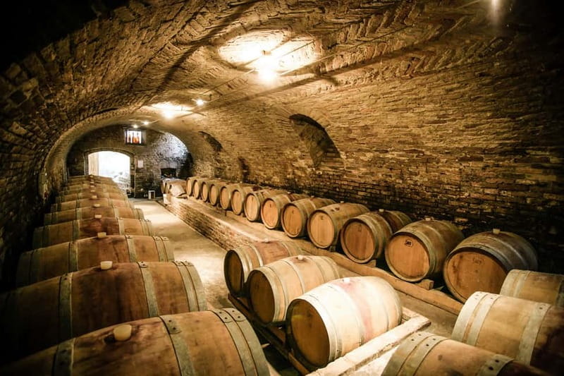 From Roma: Montepulciano and Montalcino, on the Wine Routes - The return through Fabro and back to Rome