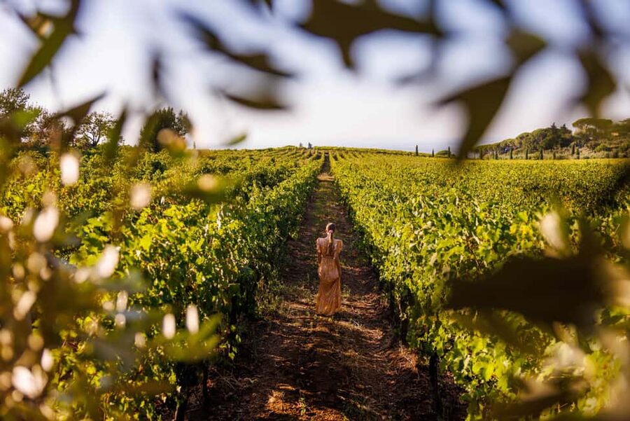 From Rome: Frascati Wine Region Tour with Wine Tasting - Why Frascati makes a good wine outing