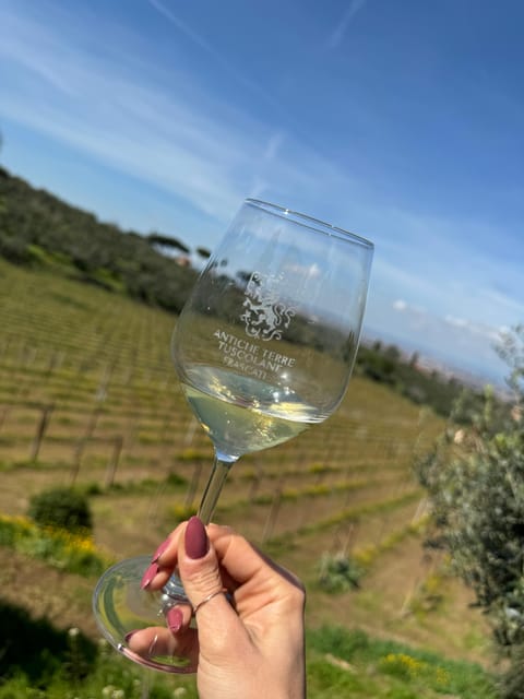 From Rome: Frascati Wine Tour with Lunch and Vineyard tour - Should you book it?