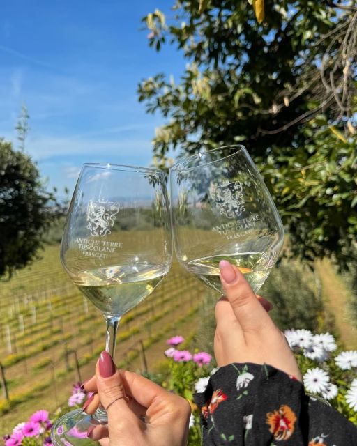 From Rome: Frascati Wine Tour with Lunch and Vineyard tour - A family winery with a 16th-century farmhouse