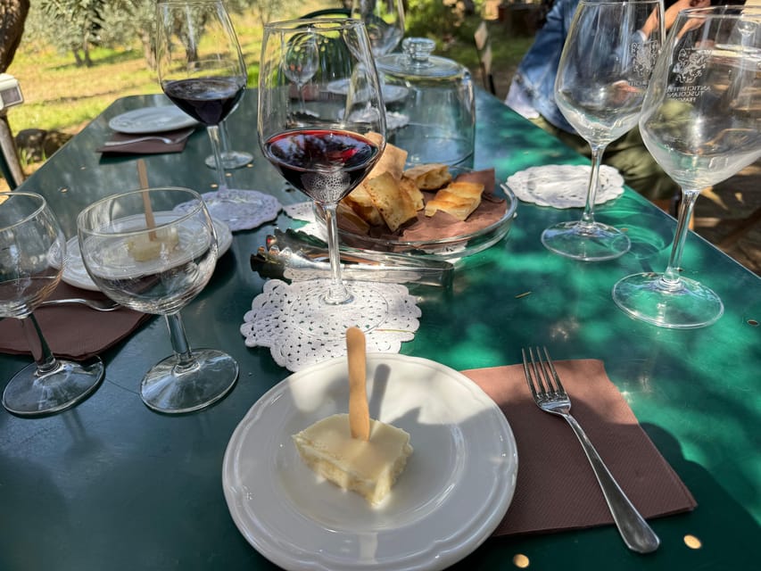 From Rome: Frascati Wine Tour with Lunch and Vineyard tour - Walking Frascati with a local guide
