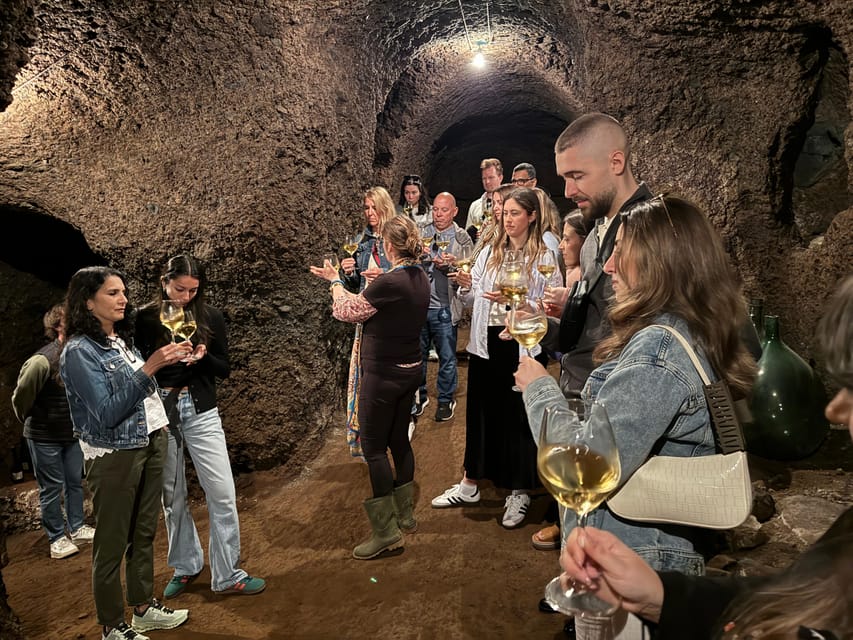 From Rome: Frascati Wine Tour with Lunch and Vineyard tour - Timing, group size, and overall pace