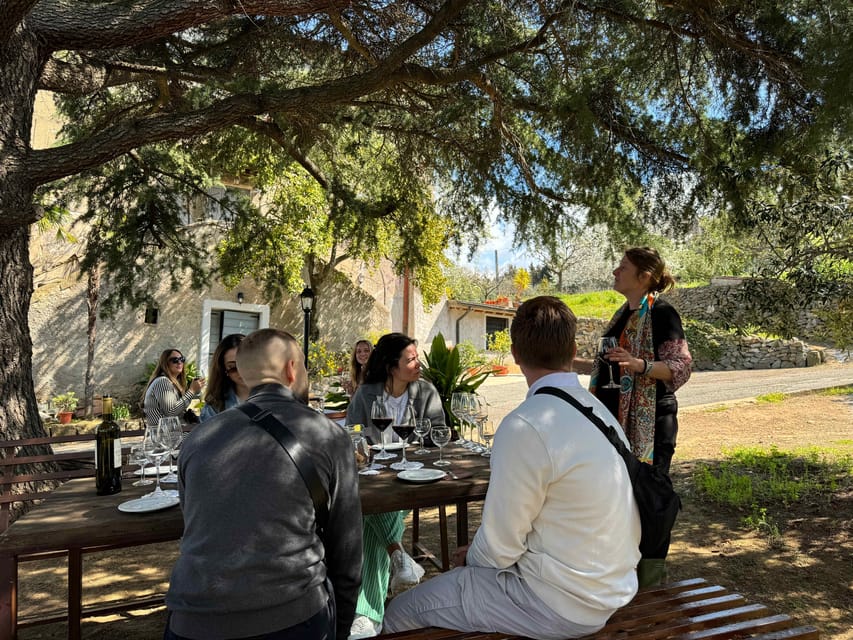 From Rome: Frascati Wine Tour with Lunch and Vineyard tour - Who should book this Frascati wine tour?