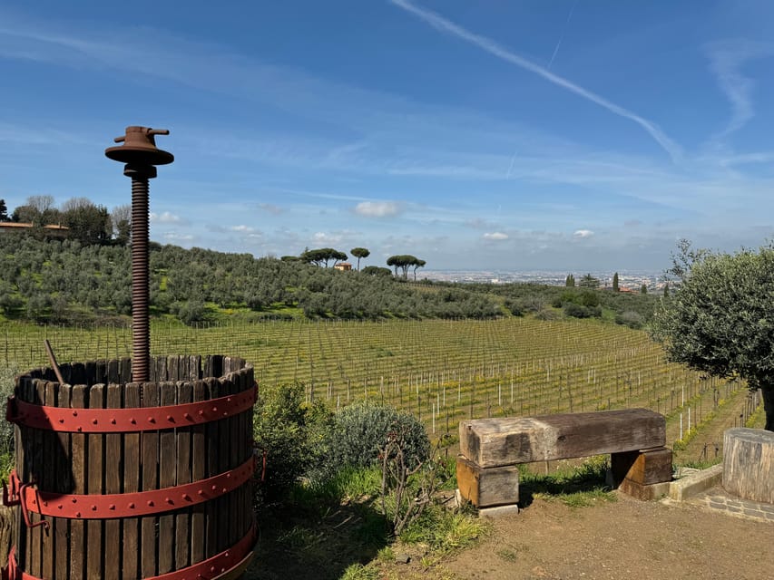 From Rome: Frascati Wine Tour with Lunch and Vineyard tour - Getting from Rome Termini to the meeting point