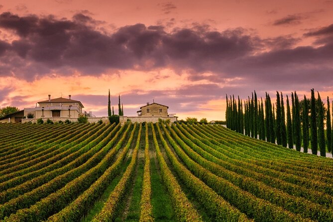 from Rome Montepulciano and Montalcino, the Wine Routes - Montepulciano: the day’s strongest stop