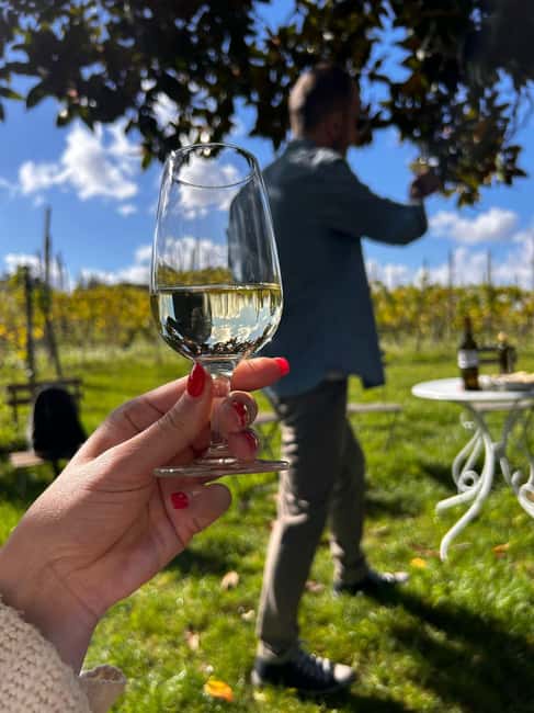 From Rome: Pasta Masterclass & Wine Tour in the Vineyard - Tasting Frascati wines and family olive oil
