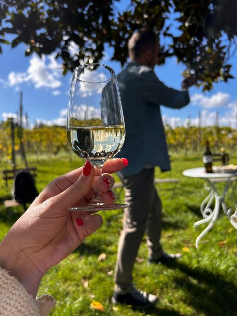 From Rome: Pasta Masterclass & Wine Tour in the Vineyard - Walking through the old vineyards and cellar