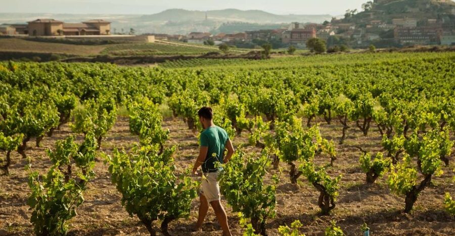 From San Sebastián: Private Rioja Wine Region Day Tour - Key points at a glance