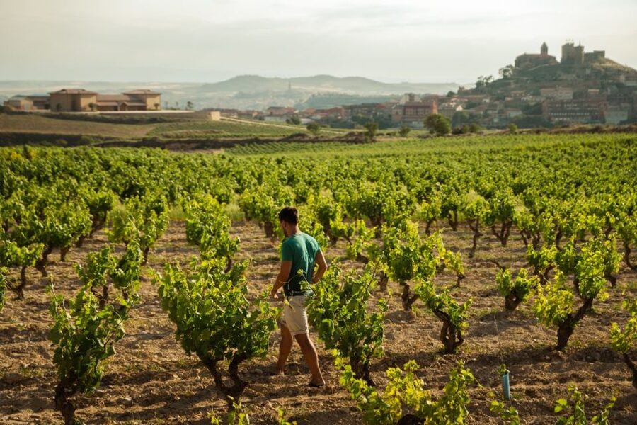 From San Sebastián: Private Rioja Wine Region Day Tour - The drive south from San Sebastián
