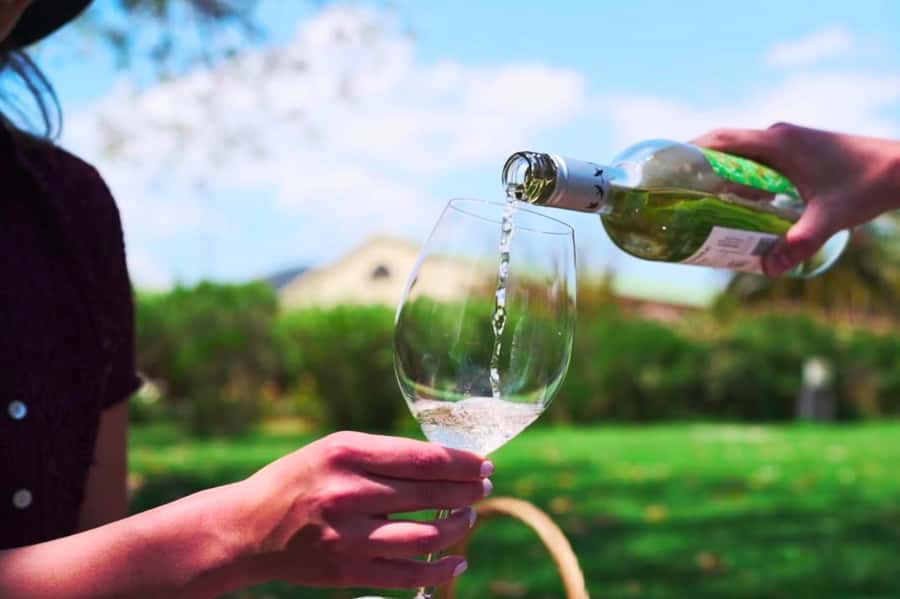 From Santiago: Vineyard, Valparaíso, and Viña del Mar Tour - Key points to know before booking