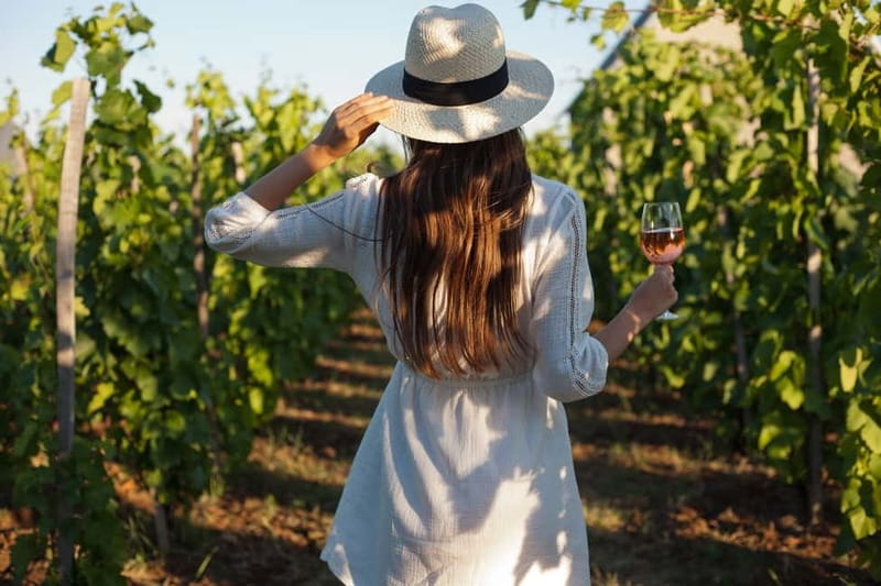 From Siena/Chianti: Dinner & Drinks in the Chianti Vineyards - Key points at a glance