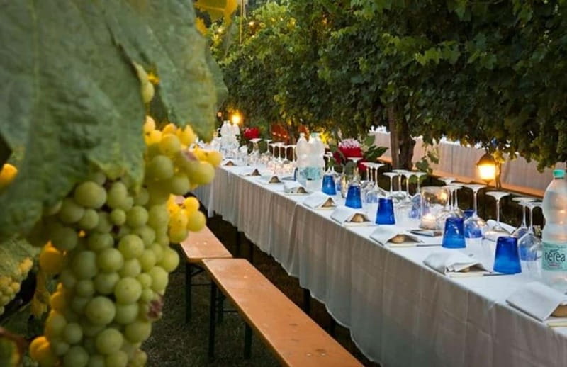 From Siena/Chianti: Dinner & Drinks in the Chianti Vineyards - Should you book the Chianti vineyard dinner?