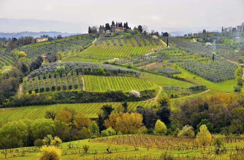 From Siena/Chianti: Dinner & Drinks in the Chianti Vineyards - Leaving Siena for the Chianti hills