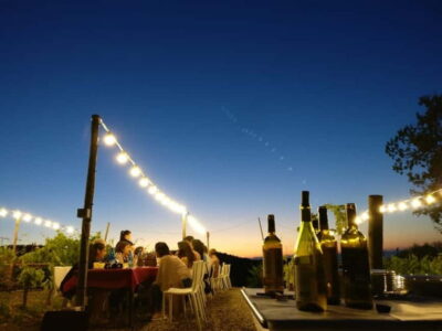 From Siena/Chianti: Dinner & Drinks in the Chianti Vineyards