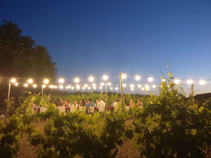 From Siena/Chianti: Dinner & Drinks in the Chianti Vineyards - A four-course Tuscan dinner under the stars