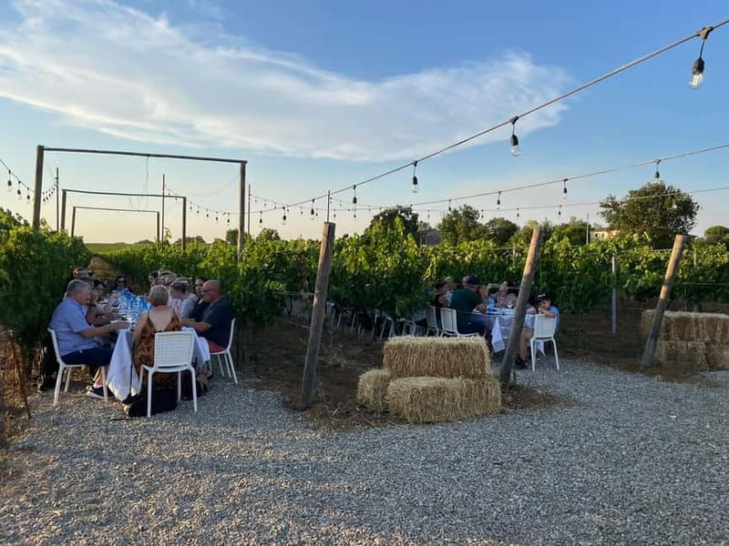 From Siena/Chianti: Dinner & Drinks in the Chianti Vineyards - Wine, service, and the human side of dinner