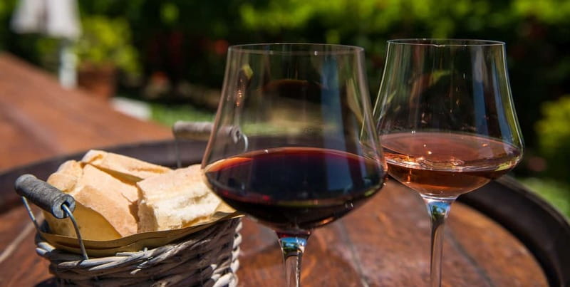 From Siena/Chianti: Dinner & Drinks in the Chianti Vineyards - Timing, comfort, and practical limits