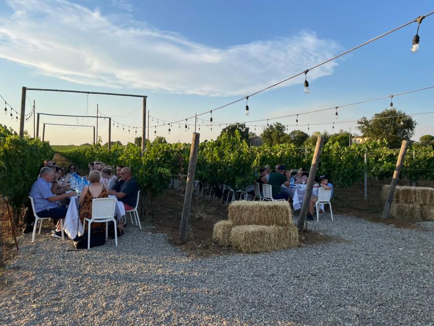 From Siena/Chianti: Dinner & Drinks in the Chianti Vineyards - Who will enjoy this evening most?