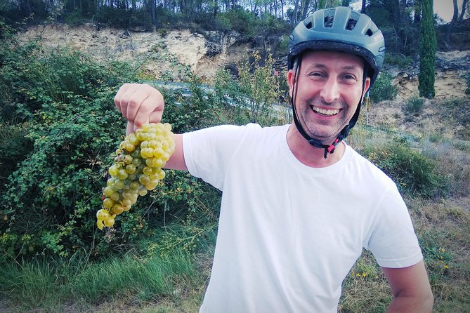 From Sitges: Bike Tour and Winery Visit with Free Hotel Pick Up. - From Sitges to the Alt Penedès vineyards