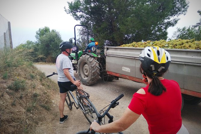 From Sitges: Bike Tour and Winery Visit with Free Hotel Pick Up. - Alex makes the cycling feel easy