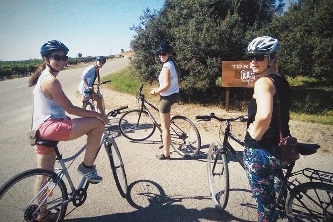 From Sitges: Bike Tour and Winery Visit with Free Hotel Pick Up. - How hard is the bike ride?