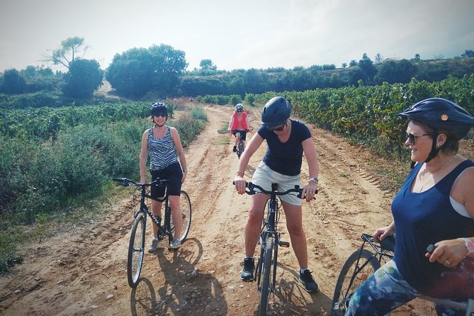 From Sitges: Bike Tour and Winery Visit with Free Hotel Pick Up. - Wine, cava, and local stops