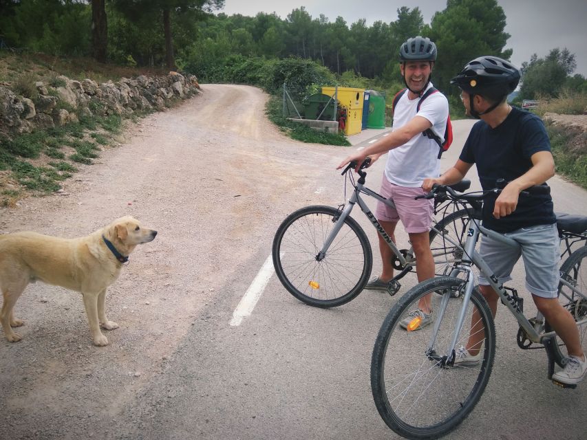 From Sitges: Cycling Tour with Winery visit and Tasting - Who should book this outing?