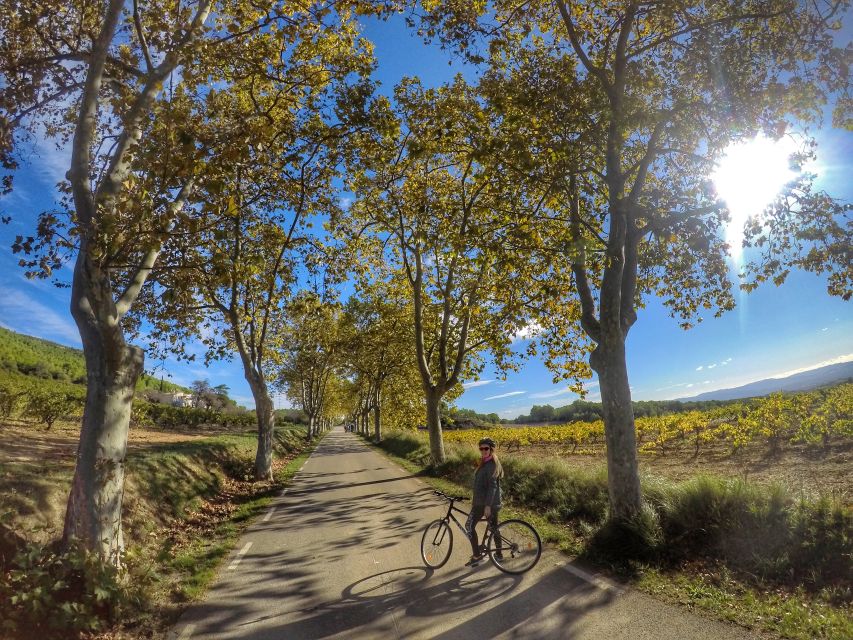 From Sitges: Paella Masterclass, Bike Ride and Winery Visit - Choosing your paella before the cooking begins