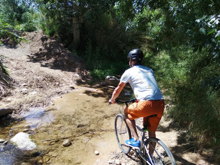 From Sitges: Paella Masterclass, Bike Ride and Winery Visit - What the $130 price really includes