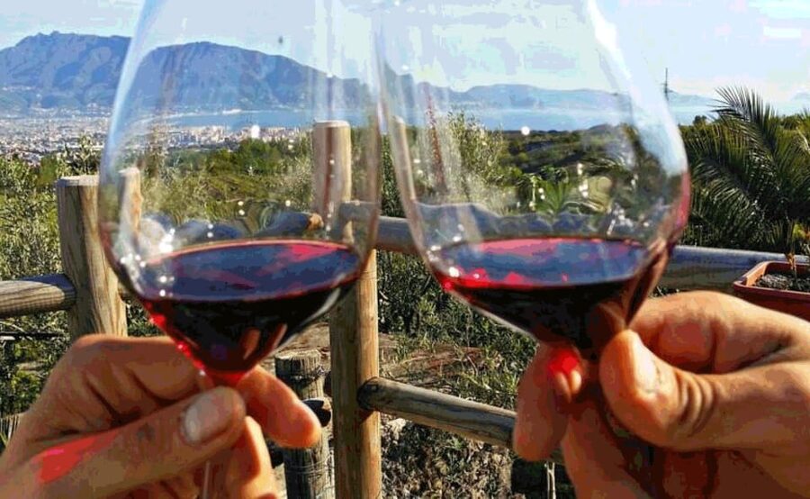 From Sorrento: Skip-the-Line Pompeii Tour and Vineyard Lunch - How the price compares with doing it yourself