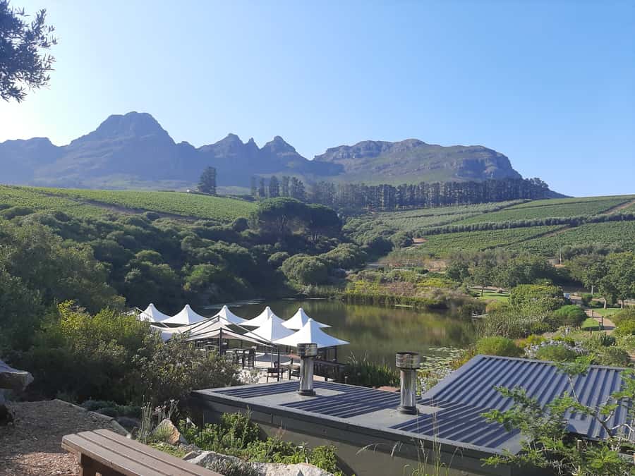 From Stellenbosch: Stellenbosch Guided Vineyard Walk - Practical preparation for a comfortable day