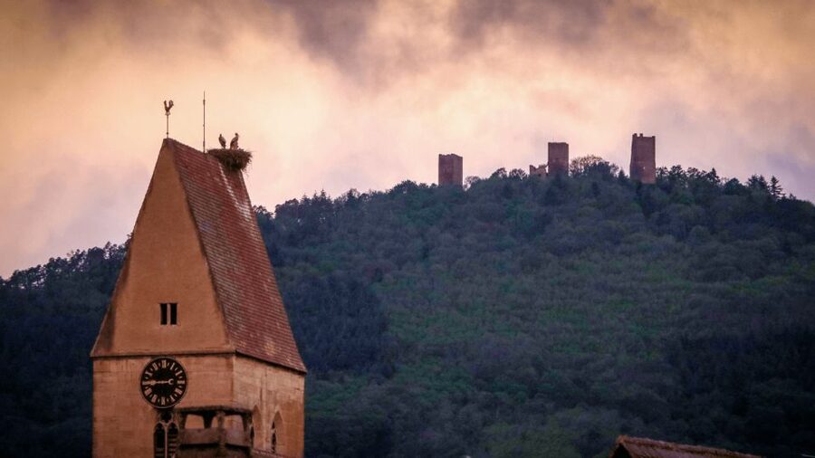 From Strasbourg: Colmar & Alsace Wine Route Private Day Trip - Customizing the day without losing its shape