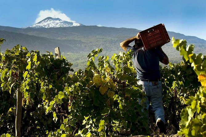 From Syracuse: Private Tour Mount Etna with Lunch at Etna Winery - Practical preparation for the mountain