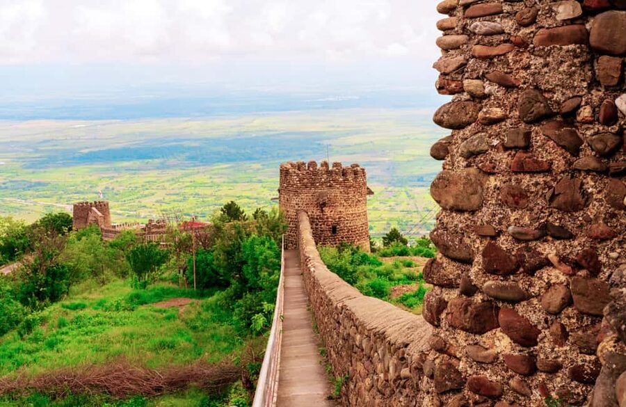 From Tbilisi: Kakheti Wine Region Tour with 9 Wine Tasting - Mzisguli: more than a wine tasting