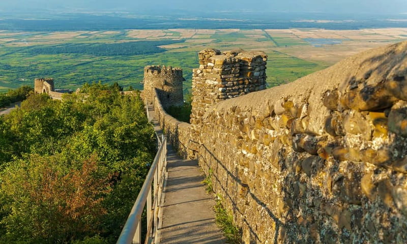 From Tbilisi: Kakheti Wine Region Tour with 9 Wine Tastings - Who Should Book This Day Trip