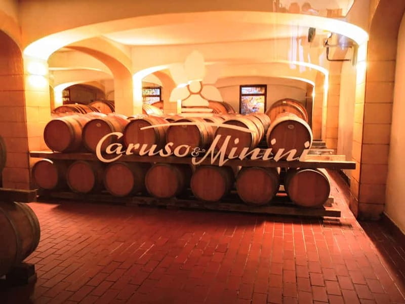 From Trapani: Salt Road Tour With Winery Visit and Boat Trip - The van transfers and five-hour rhythm