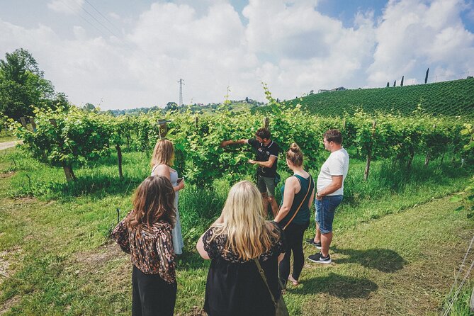 From Venice: Prosecco Wine Region Tour with 2 Tastings - Leaving Venice from Piazzale Roma