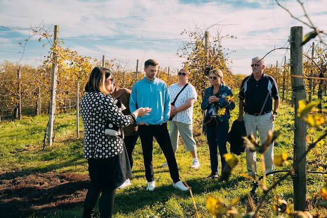 From Venice: Prosecco Wine Region Tour with 2 Tastings - Valdobbiadene and the second family winery