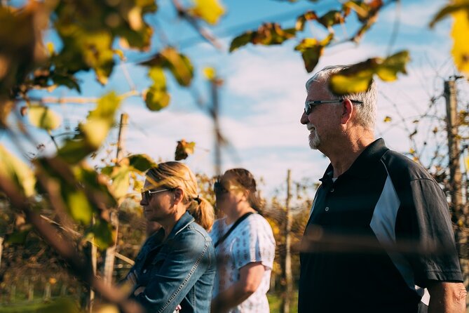 From Venice: Prosecco Wine Region Tour with 2 Tastings - Food, pacing, and the amount of wine