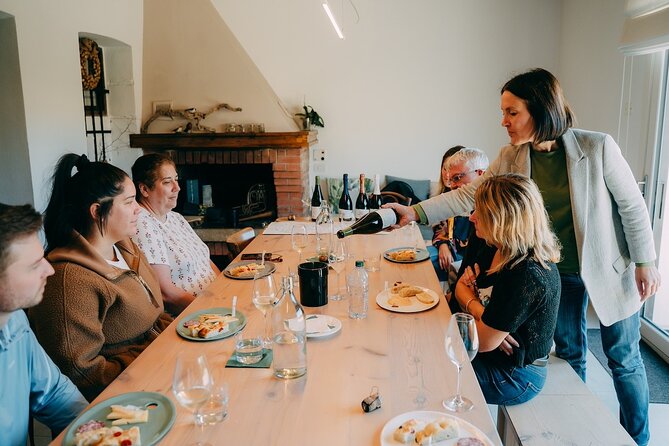 From Venice: Prosecco Wine Region Tour with 2 Tastings - Comfort, access, and who will enjoy it most