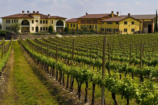 From Verona: private trip to Sirmione Lake Garda & Valpolicella Wine Region - From the lake to Valpolicella Classica