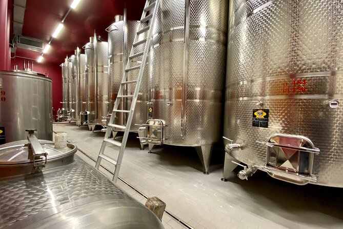 From Verona: private trip to Sirmione Lake Garda & Valpolicella Wine Region - What the price includes, and what it does not