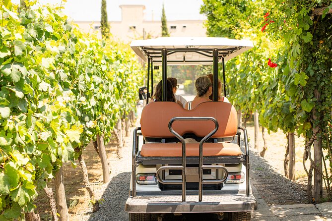 From Vineyard to Table: Wine Tasting & Neapolitan Lunch in Pompei - The essential details at a glance