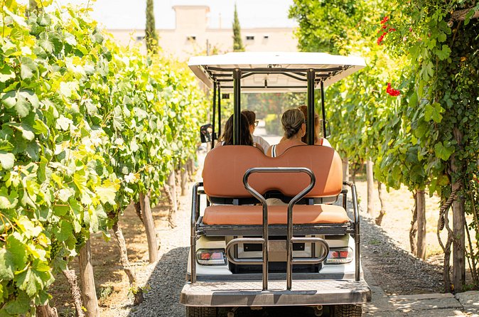 From Vineyard to Table: Wine Tasting & Neapolitan Lunch in Pompei - Five wines, sparkling wine, and a proper lunch