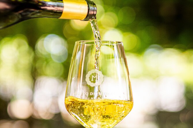 From Vineyard to Table: Wine Tasting & Neapolitan Lunch in Pompei - Is $102.12 a fair price?