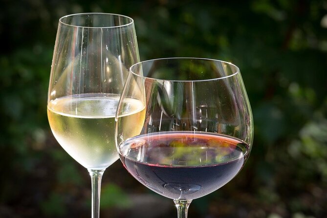 Full day experience | Tasting & art among the Orvieto vineyards - Should you book the Orvieto and Corbara day trip?