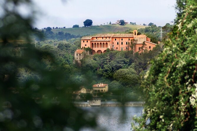 Full day experience | Tasting & art among the Orvieto vineyards - Why the wine and city combination works