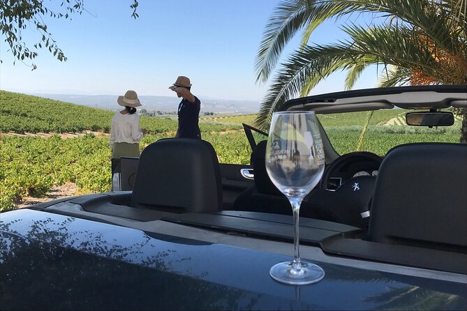 Full day in Cordoba between Vineyards and Olive Trees with a Convertible Car - Why this Cordoba day trip feels different