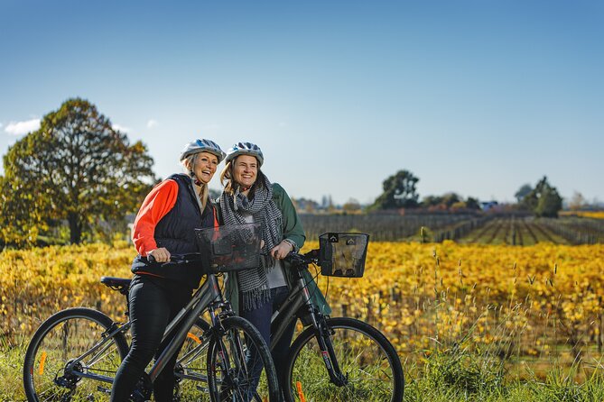 Full-Day Marlborough Wine Region Bike Hire - Key points before you book