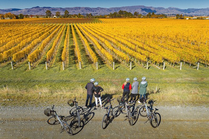 Full-Day Marlborough Wine Region Bike Hire - Lunch at a winery restaurant